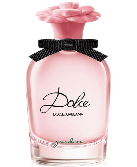 dolce gabana perfumes|dolce gabbana perfume women's.